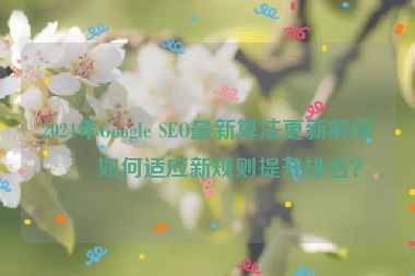 2024年Google SEO最新算法更新解讀，如何適應(yīng)新規(guī)則提升排名？