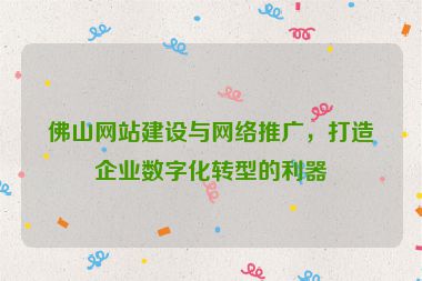 佛山網(wǎng)站建設(shè)與網(wǎng)絡(luò)推廣，打造企業(yè)數(shù)字化轉(zhuǎn)型的利器