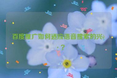 百度推廣如何適應(yīng)語(yǔ)音搜索的興起？