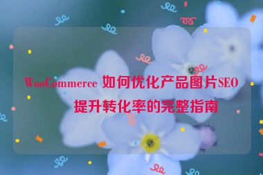 WooCommerce 如何優(yōu)化產(chǎn)品圖片SEO？提升轉化率的完整指南