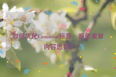 如何優(yōu)化Canonical標(biāo)簽，避免重復(fù)內(nèi)容懲罰？