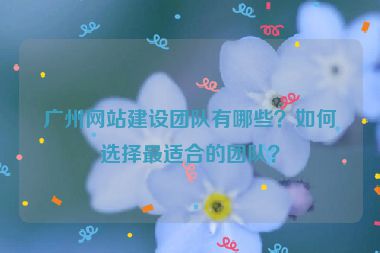 廣州網(wǎng)站建設(shè)團(tuán)隊(duì)有哪些？如何選擇最適合的團(tuán)隊(duì)？