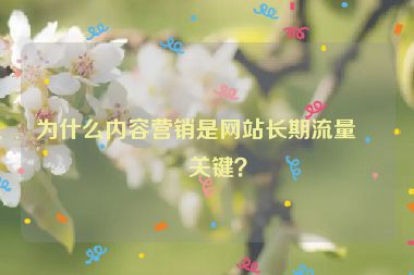 為什么內(nèi)容營銷是網(wǎng)站長期流量的關(guān)鍵？