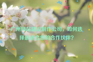 廣州網(wǎng)站建設(shè)制作公司，如何選擇最適合您的合作伙伴？