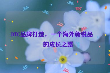 DTC品牌打造，一個海外新銳品牌的成長之路