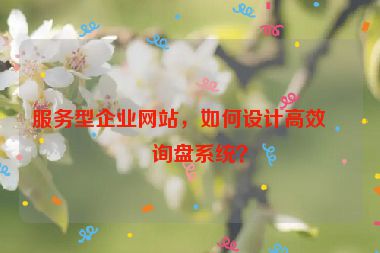 服務型企業(yè)網(wǎng)站，如何設計高效的詢盤系統(tǒng)？