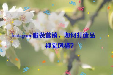 Instagram服裝營(yíng)銷(xiāo)，如何打造品牌視覺(jué)風(fēng)格？