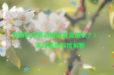 營銷如何驅(qū)動網(wǎng)站流量增長？5個實戰(zhàn)案例深度解析