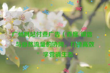 廣州網(wǎng)站付費(fèi)廣告（百度/微信）與自然流量的協(xié)同，打造高效數(shù)字營銷生態(tài)