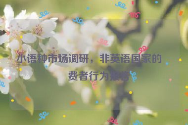 小語種市場調(diào)研，非英語國家的消費者行為報告
