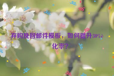 棄購?fù)旎剜]件模板，如何提升30%轉(zhuǎn)化率？