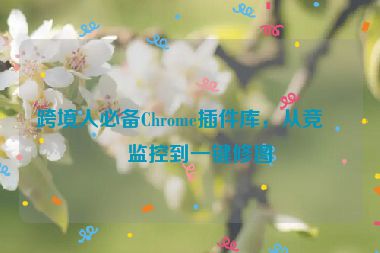 跨境人必備Chrome插件庫，從競品監(jiān)控到一鍵修圖
