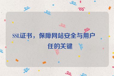 SSL證書，保障網(wǎng)站安全與用戶信任的關鍵