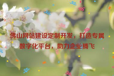 佛山網(wǎng)站建設(shè)定制開發(fā)，打造專屬數(shù)字化平臺(tái)，助力企業(yè)騰飛