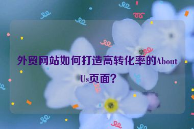 外貿(mào)網(wǎng)站如何打造高轉(zhuǎn)化率的About Us頁面？