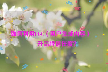 如何利用UGC（用戶生成內(nèi)容）提升品牌信任度？