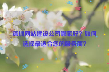 深圳網(wǎng)站建設(shè)公司哪家好？如何選擇最適合您的服務(wù)商？