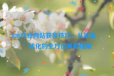 B2B行業(yè)網(wǎng)站獲客技巧，從流量到轉(zhuǎn)化的全方位策略指南