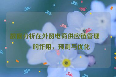 數(shù)據(jù)分析在外貿(mào)電商供應(yīng)鏈管理中的作用，預(yù)測與優(yōu)化
