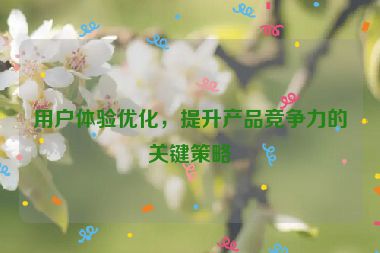 用戶體驗優(yōu)化，提升產(chǎn)品競爭力的關(guān)鍵策略