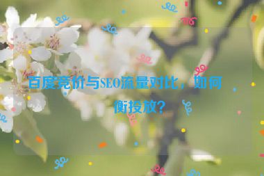 百度競價與SEO流量對比，如何平衡投放？