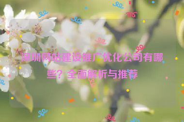 深圳網(wǎng)站建設(shè)推廣優(yōu)化公司有哪些？全面解析與推薦