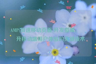AMP(加速移動頁面)開發(fā)指南，提升移動端用戶體驗的關(guān)鍵技術(shù)