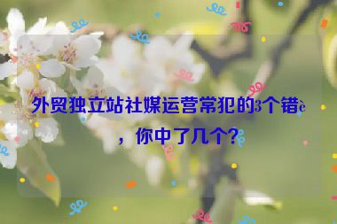 外貿(mào)獨立站社媒運營常犯的3個錯誤，你中了幾個？
