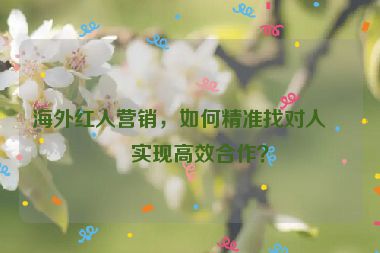 海外紅人營(yíng)銷(xiāo)，如何精準(zhǔn)找對(duì)人并實(shí)現(xiàn)高效合作？