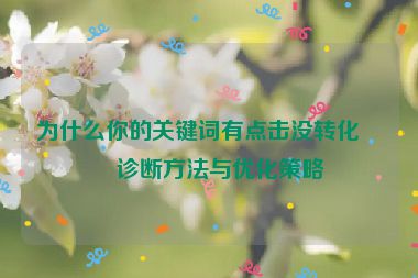 為什么你的關(guān)鍵詞有點(diǎn)擊沒轉(zhuǎn)化？診斷方法與優(yōu)化策略