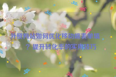 外貿(mào)網(wǎng)站如何優(yōu)化移動端表單填寫？提升轉(zhuǎn)化率的實用技巧
