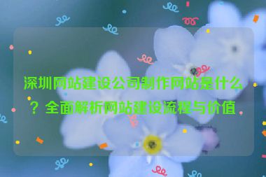 深圳網(wǎng)站建設(shè)公司制作網(wǎng)站是什么？全面解析網(wǎng)站建設(shè)流程與價(jià)值