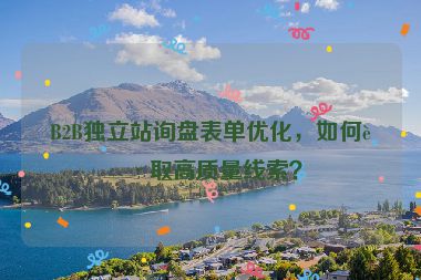 B2B獨(dú)立站詢盤表單優(yōu)化，如何獲取高質(zhì)量線索？