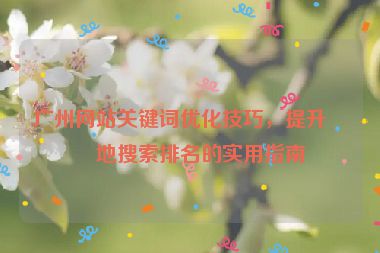 廣州網站關鍵詞優(yōu)化技巧，提升本地搜索排名的實用指南