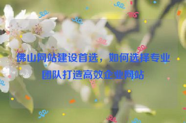 佛山網(wǎng)站建設(shè)首選，如何選擇專業(yè)團(tuán)隊(duì)打造高效企業(yè)網(wǎng)站