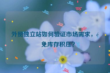 外貿(mào)獨(dú)立站如何驗(yàn)證市場需求，避免庫存積壓？
