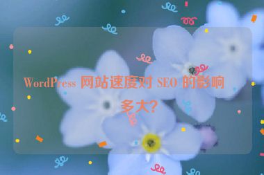WordPress 網(wǎng)站速度對(duì) SEO 的影響有多大？