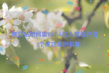 獨立站如何靠TikTok紅人營銷逆襲？3個成功案例解析）