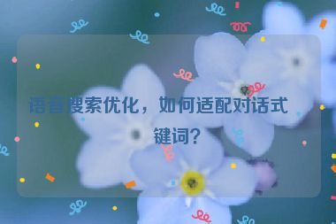 語(yǔ)音搜索優(yōu)化，如何適配對(duì)話式關(guān)鍵詞？