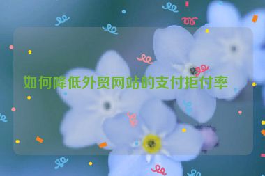 如何降低外貿(mào)網(wǎng)站的支付拒付率？