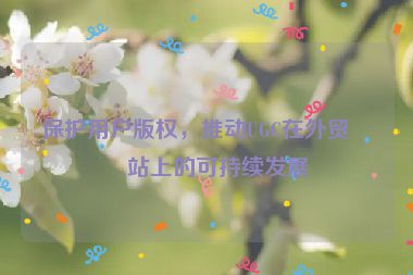 保護(hù)用戶版權(quán)，推動UGC在外貿(mào)網(wǎng)站上的可持續(xù)發(fā)展