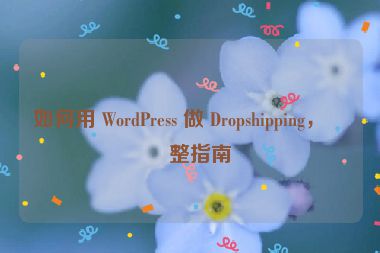 如何用 WordPress 做 Dropshipping，完整指南