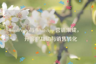WordPress 與 WhatsApp 營銷集成，提升客戶互動與銷售轉(zhuǎn)化
