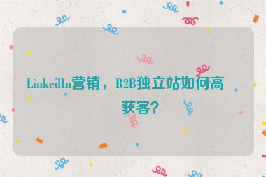 LinkedIn營銷，B2B獨立站如何高效獲客？