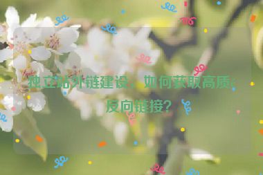 獨(dú)立站外鏈建設(shè)，如何獲取高質(zhì)量反向鏈接？