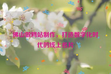 佛山做網(wǎng)站制作，打造數(shù)字化時代的線上名片