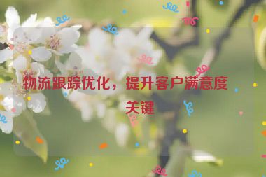 物流跟蹤優(yōu)化，提升客戶滿意度的關(guān)鍵