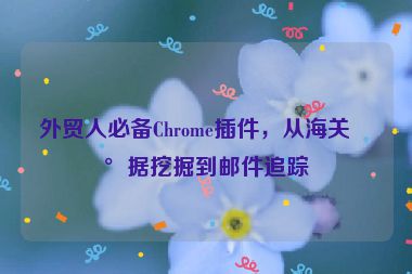 外貿(mào)人必備Chrome插件，從海關(guān)數(shù)據(jù)挖掘到郵件追蹤