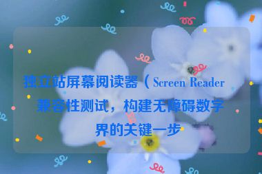 獨(dú)立站屏幕閱讀器（Screen Reader）兼容性測(cè)試，構(gòu)建無障礙數(shù)字世界的關(guān)鍵一步