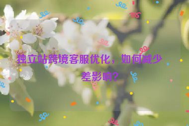 獨(dú)立站跨境客服優(yōu)化，如何減少時(shí)差影響？